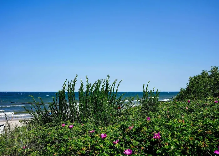 Seeblick, App 215 * Koserow